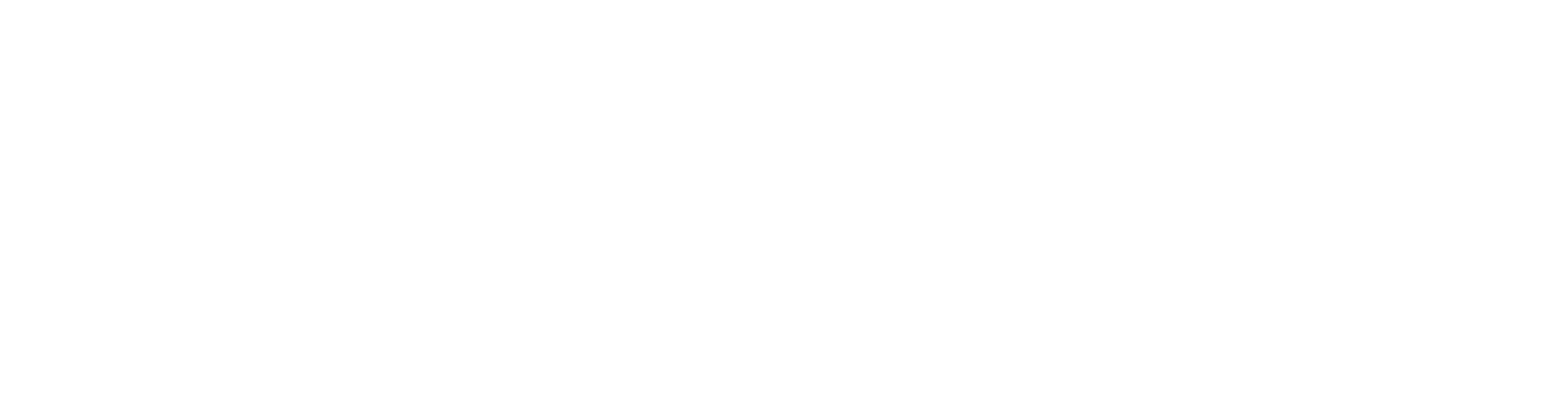 Elongi Studio white logo